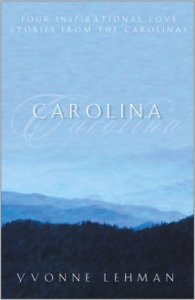 41D5DWV4VEL._SX306_BO1,204,203,200_